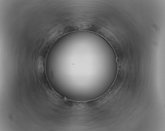 X0000114521058200910191150