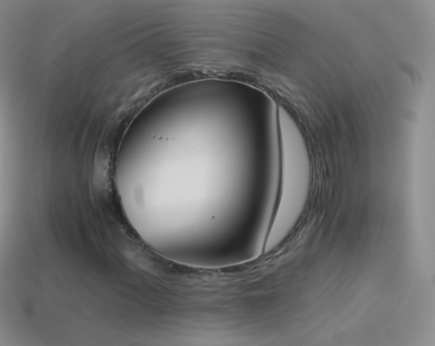 X0000114521060200910191150