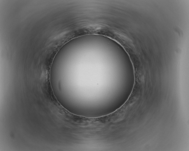 X0000114521061200910191150