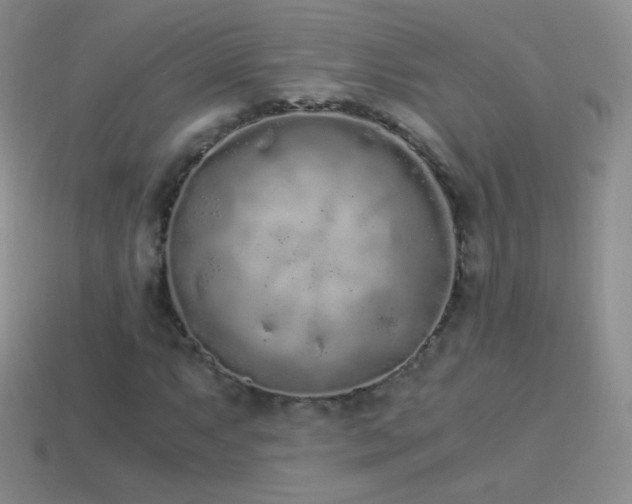 X0000114521063200910191150