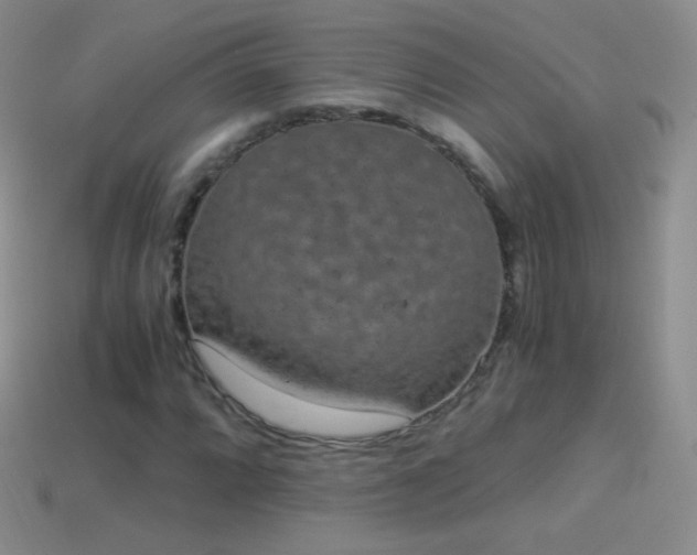 X0000114521064200910191150