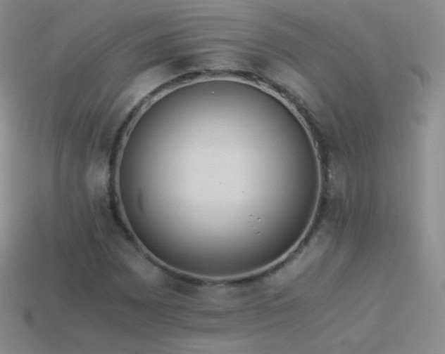 X0000114521065200910191150
