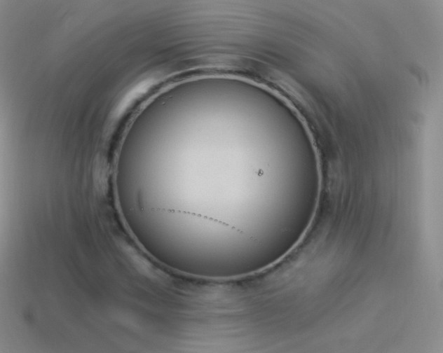 X0000114521067200910191150