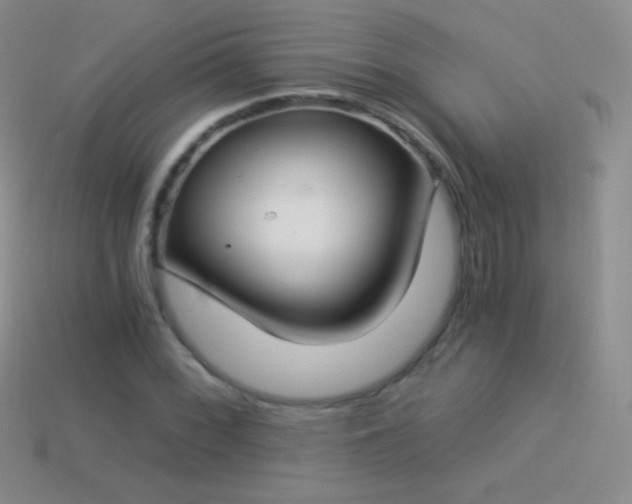 X0000114521068200910191150