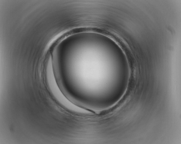 X0000114521069200910191150