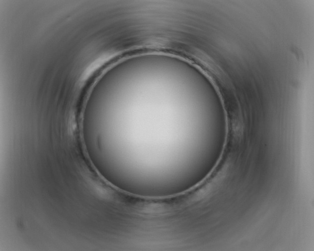 X0000114521070200910191150