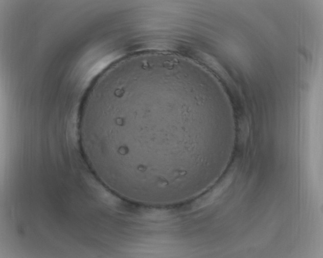 X0000114521071200910191150
