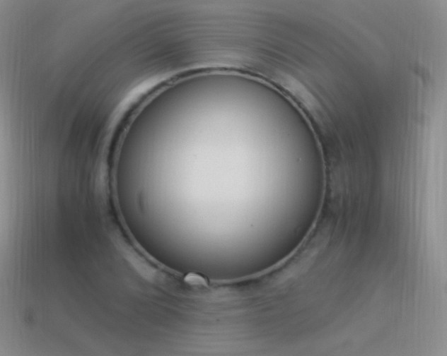 X0000114521072200910191150