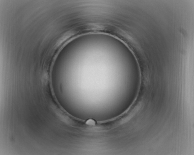 X0000114521073200910191150