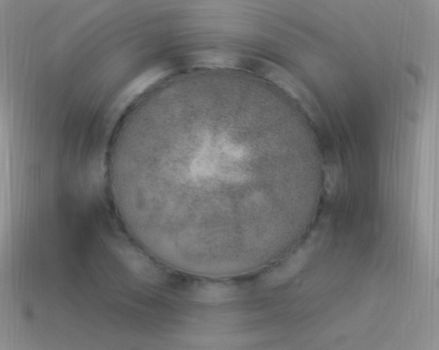 X0000114521074200910191149