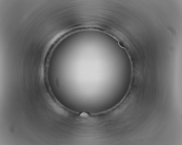 X0000114521076200910191149