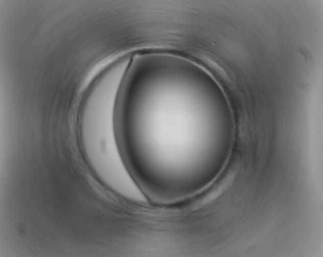 X0000114521077200910191149