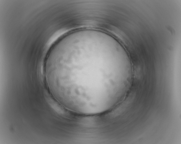 X0000114521078200910191149