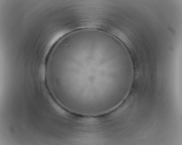 X0000114521079200910191149