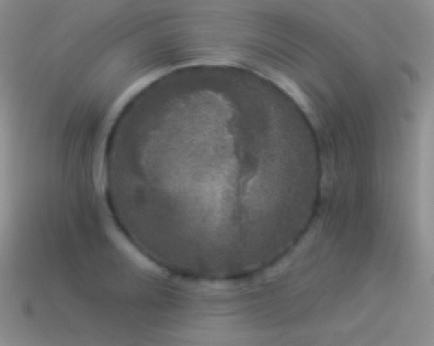 X0000114521080200910191149