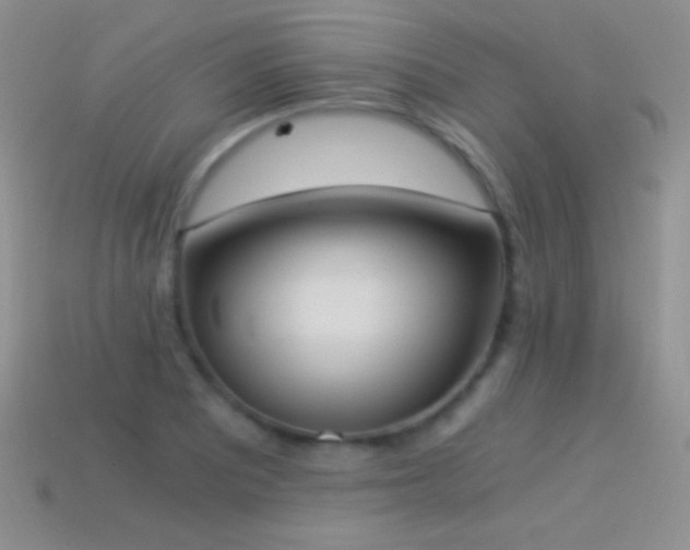 X0000114521081200910191149