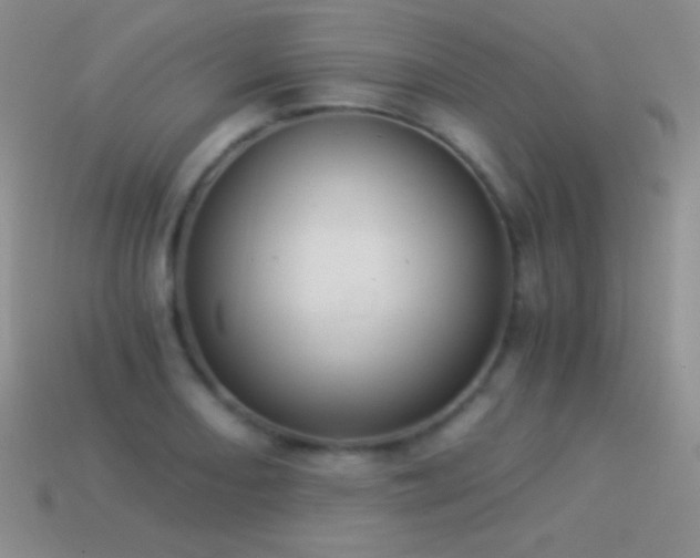 X0000114521082200910191149