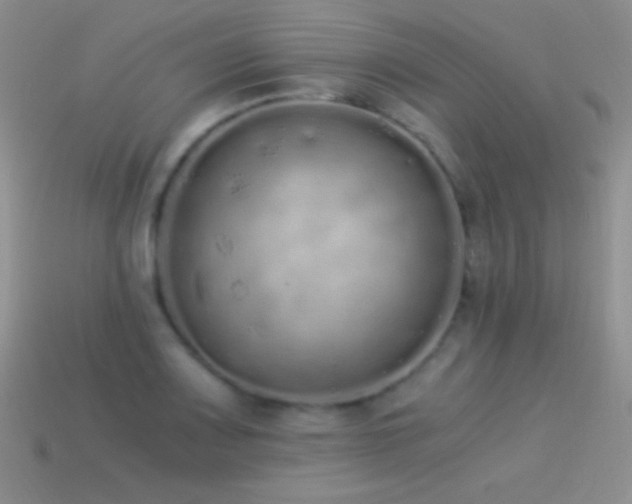 X0000114521083200910191149