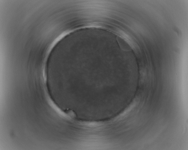 X0000114521084200910191149