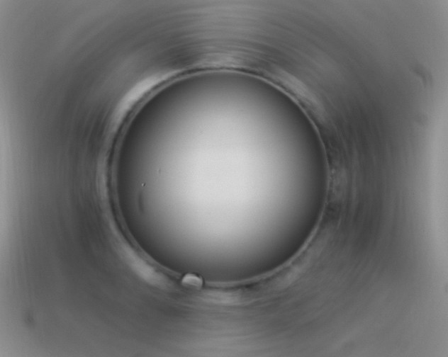 X0000114521086200910191149