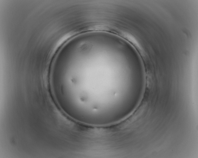 X0000114521087200910191149