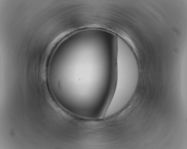 X0000114521088200910191149