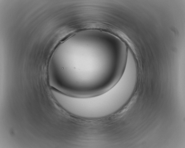 X0000114521089200910191149