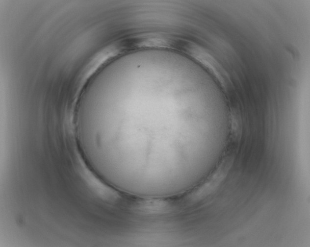 X0000114521090200910191149