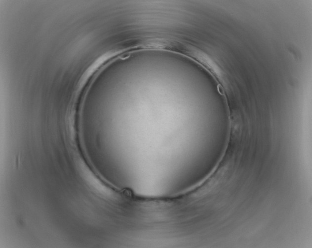 X0000114521091200910191149