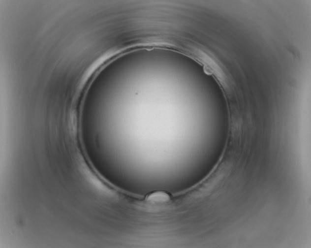X0000114521092200910191149