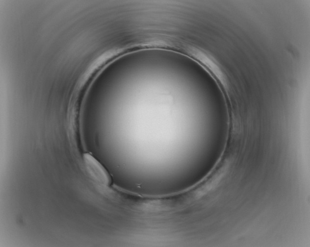 X0000114521093200910191149