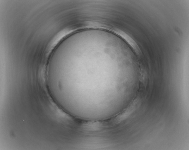 X0000114521094200910191149