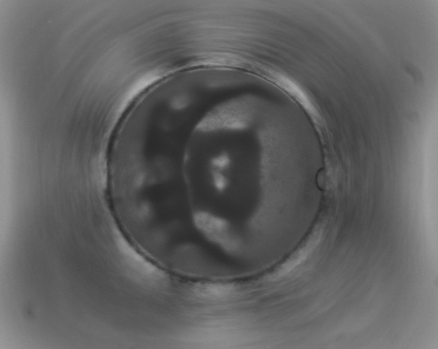 X0000114521095200910191149