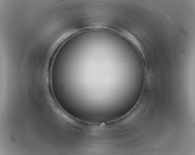 X0000114521096200910191149