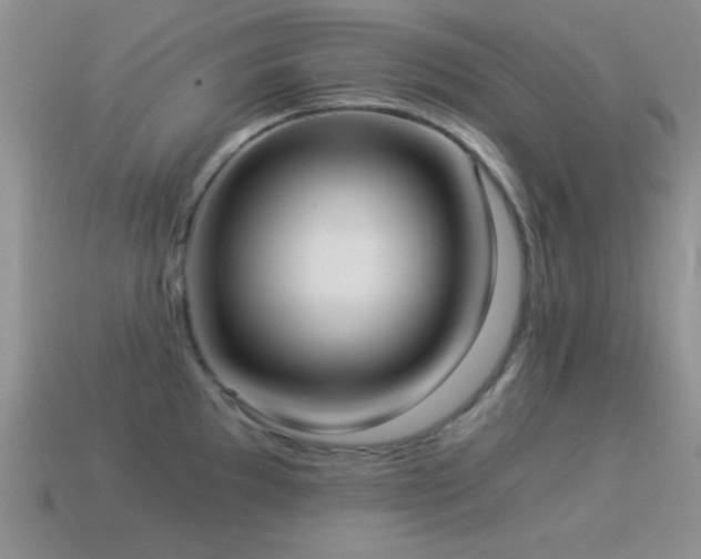 X0000114521097200910191149