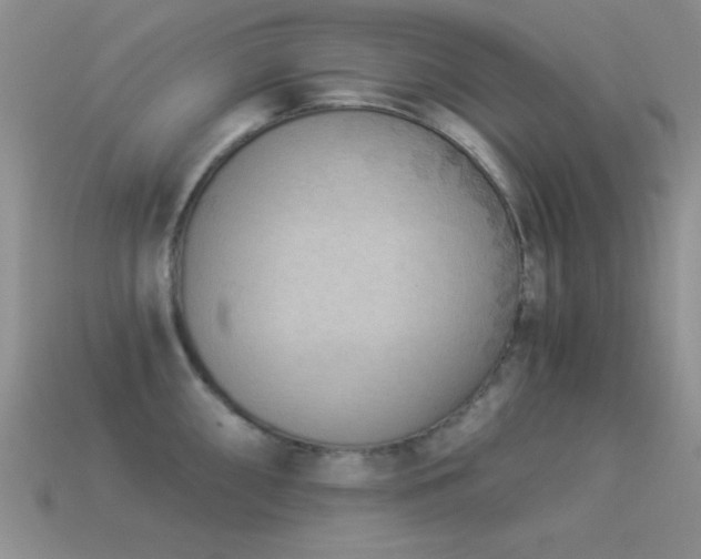 X0000114521098200910191149