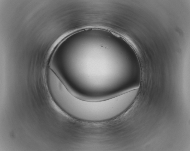 X0000114521100200910191149