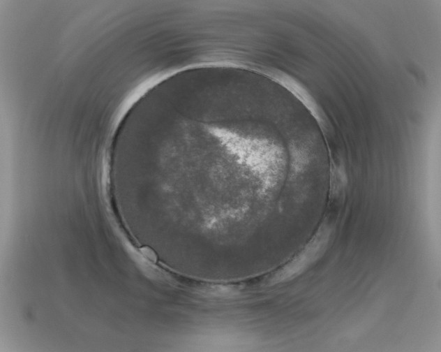 X0000114521101200910191149