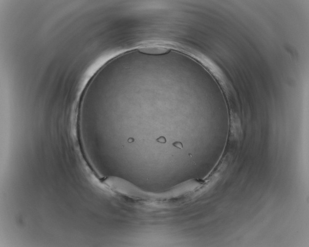 X0000114521102200910191149
