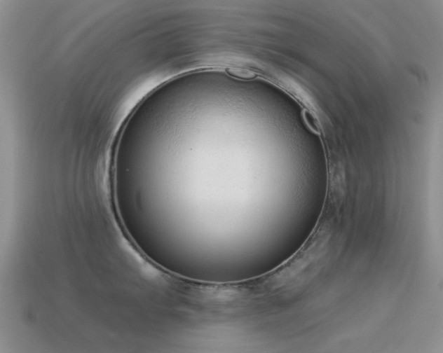 X0000114521103200910191149