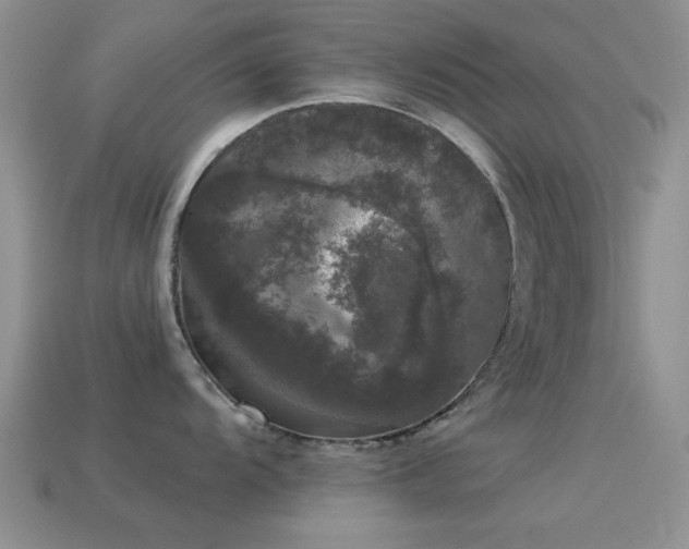 X0000114521104200910191149