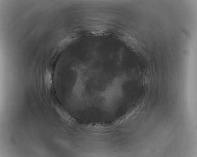 X0000114521106200910191149