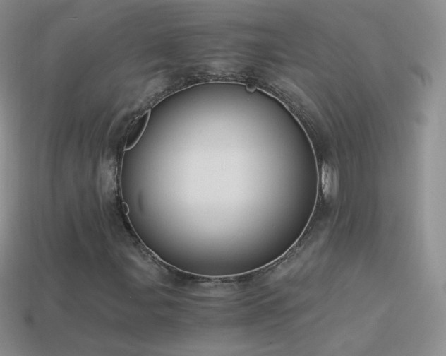 X0000114521107200910191149
