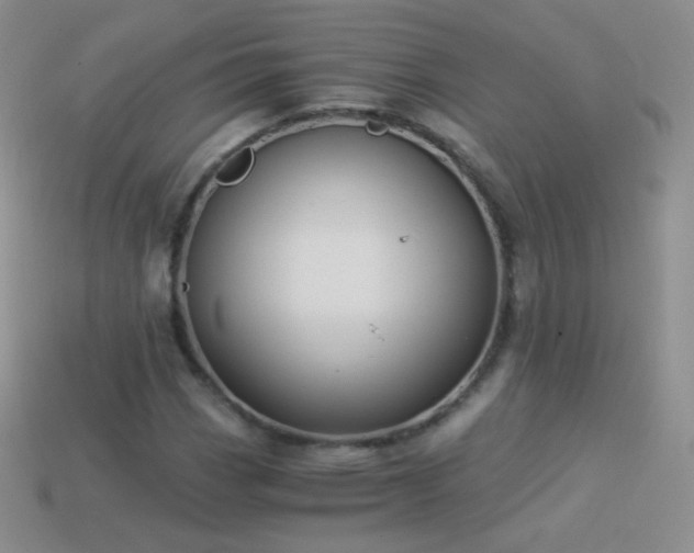 X0000114521113200910191149