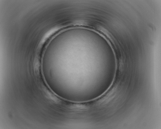 X0000114521115200910191149
