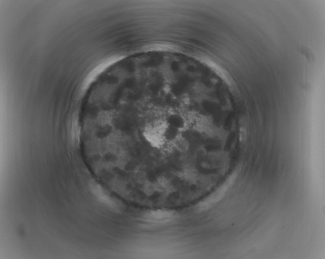 X0000114521117200910191149