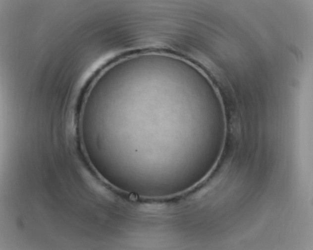 X0000114521118200910191149