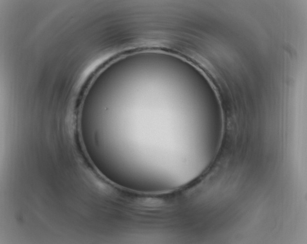 X0000114521119200910191149