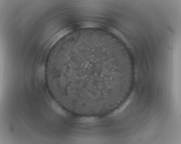 X0000114521121200910191149