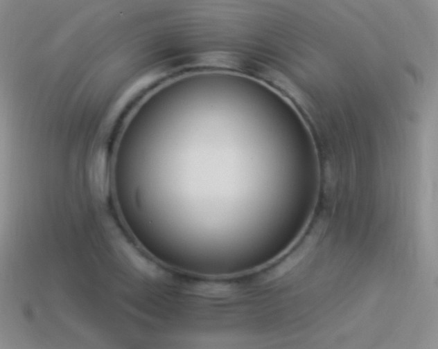 X0000114521123200910191149